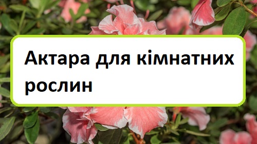 aktara-dlya-k-mnatnih-roslin aktara-dlya-k-mnatnih-roslin