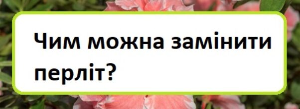 chim-mozhna-zam-niti-perl-t
