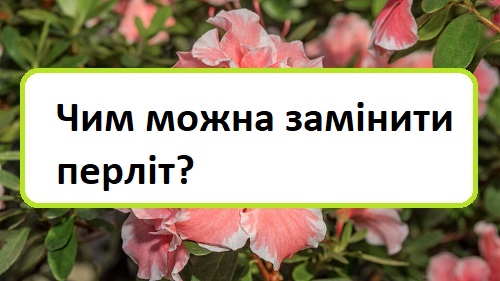 chim-mozhna-zam-niti-perl-t chim-mozhna-zam-niti-perl-t