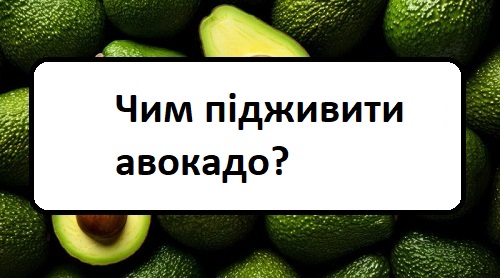 chim-p-dzhiviti-avokado chim-p-dzhiviti-avokado