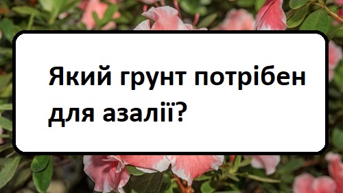 yakij-grunt-potr-ben-dlya-azal yakij-grunt-potr-ben-dlya-azal
