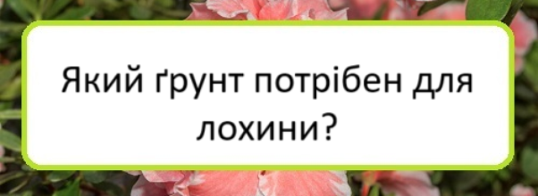 Yakyy grunt potriben dlya lokhyny