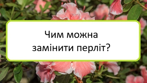 chym-mozhna-zaminyty-perlit chym-mozhna-zaminyty-perlit