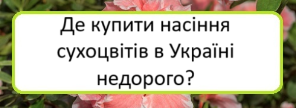 de-kupyty-nasinnya-sukhotsvitiv-v-ukrayini-nedoroho