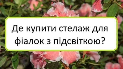 de-kupyty-stelazh-dlya-fialok-z-pidsvitkoyu