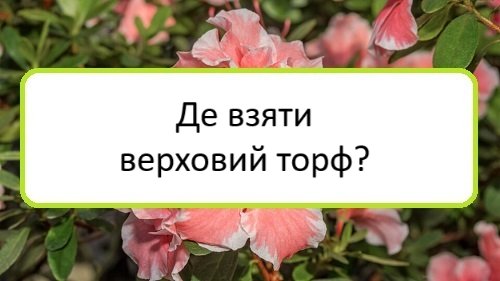 de-vzyaty-verkhovyy-torf de-vzyaty-verkhovyy-torf