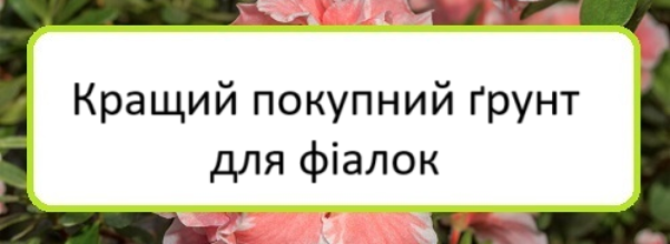 krashchyy-pokupnyy-grunt-dlya-fialok