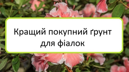 krashchyy-pokupnyy-grunt-dlya-fialok