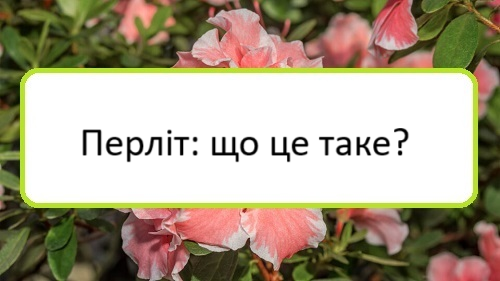perlit-shcho-tse-take perlit-shcho-tse-take