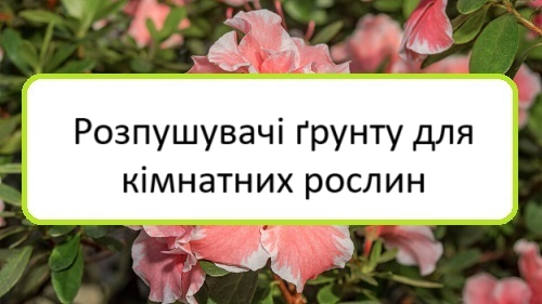 rozpushuvachi-gruntu-dlya-kimnatnykh-roslyn rozpushuvachi-gruntu-dlya-kimnatnykh-roslyn