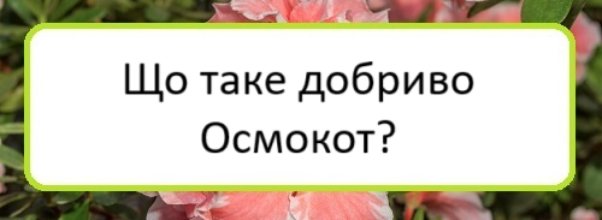 shcho-take-dobryvo-osmokot