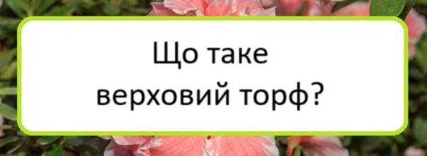 shcho-take-verkhovyy-torf