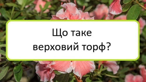 shcho-take-verkhovyy-torf shcho-take-verkhovyy-torf