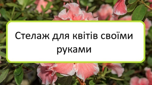 stelazh-dlya-kvitiv-svoyimy-rukamy stelazh-dlya-kvitiv-svoyimy-rukamy