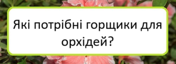 yaki-potribni-horshchyky-dlya-orkhidey