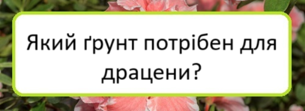 yakyy-grunt-potriben-dlya-dratseny