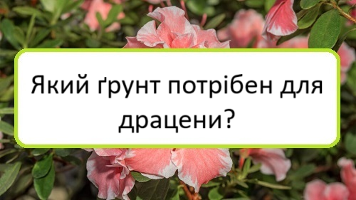 yakyy-grunt-potriben-dlya-dratseny yakyy-grunt-potriben-dlya-dratseny