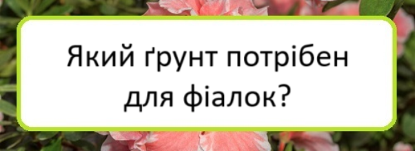 yakyy-grunt-potriben-dlya-fialok