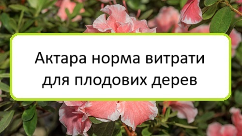aktara-norma-vytraty-dlya-plodovykh-derev aktara-norma-vytraty-dlya-plodovykh-derev