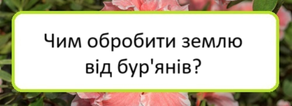 chym-obrobyty-zemlyu-vid-buryaniv