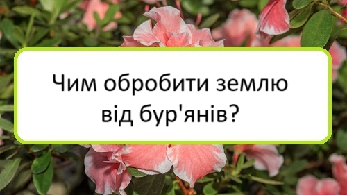 chym-obrobyty-zemlyu-vid-buryaniv chym-obrobyty-zemlyu-vid-buryaniv