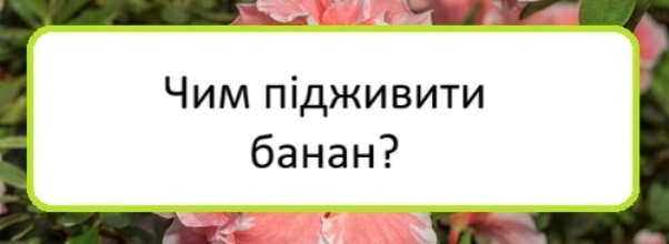 chym-pidzhyvyty-banan