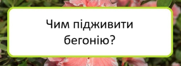 chym-pidzhyvyty-behoniyu