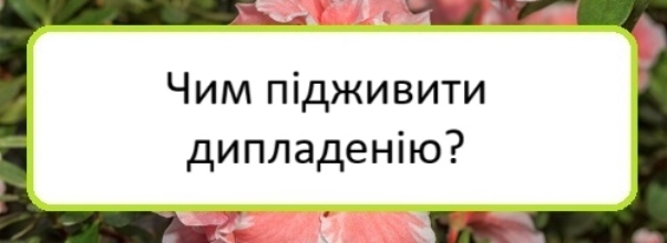 chym-pidzhyvyty-dypladeniyu