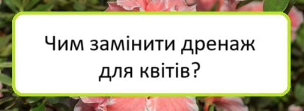chym-zaminyty-drenazh-dlya-kvitiv