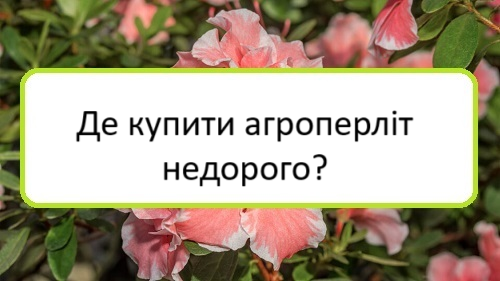 de-kupyty-ahroperlit-nedoroho