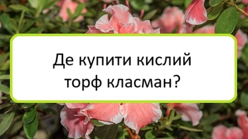 de-kupyty-kyslyy-torf-klasman de-kupyty-kyslyy-torf-klasman