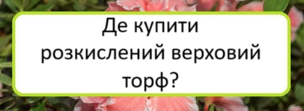 de-kupyty-rozkyslenyy-verkhovyy-torf