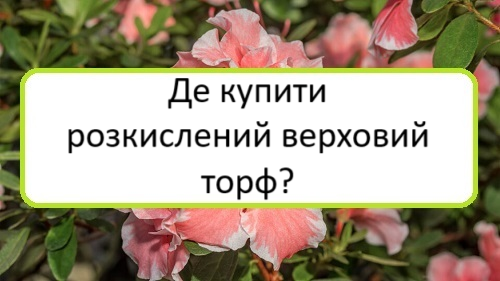 de-kupyty-rozkyslenyy-verkhovyy-torf de-kupyty-rozkyslenyy-verkhovyy-torf