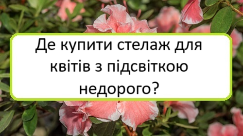 de-kupyty-stelazh-dlya-kvitiv-z-pidsvitkoyu-nedoroho de-kupyty-stelazh-dlya-kvitiv-z-pidsvitkoyu-nedoroho