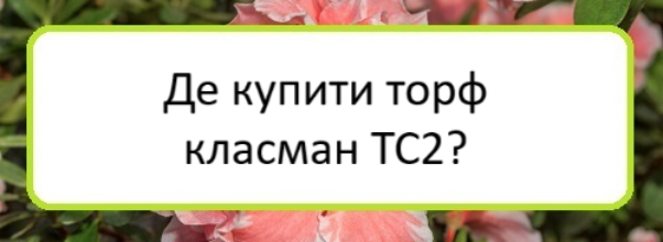 de-kupyty-torf-klasman-t·s2