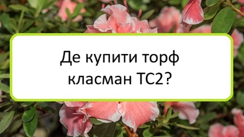 de-kupyty-torf-klasman-t·s2 de-kupyty-torf-klasman-t·s2