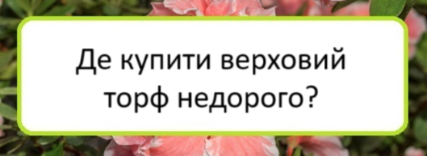 de-kupyty-verkhovyy-torf-nedoroho