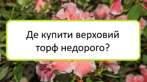 de-kupyty-verkhovyy-torf-nedoroho de-kupyty-verkhovyy-torf-nedoroho