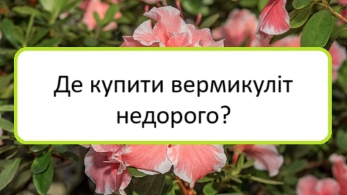 de-kupyty-vermykulit-nedoroho de-kupyty-vermykulit-nedoroho