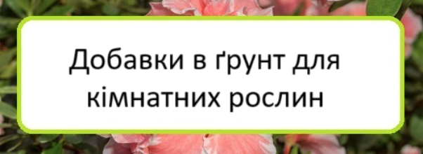 dobavky-v-grunt-dlya-kimnatnykh-roslyn