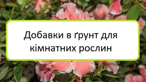 dobavky-v-grunt-dlya-kimnatnykh-roslyn dobavky-v-grunt-dlya-kimnatnykh-roslyn