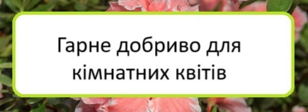 harne-dobryvo-dlya-kimnatnykh-kvitiv
