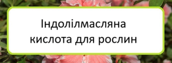 indolilmaslyana-kyslota-dlya-roslyn