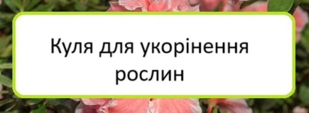 kulya-dlya-ukorinennya-roslyn