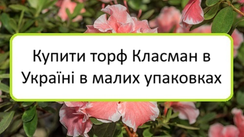 kupyty-torf-klasman-v-ukrayini-v-malykh-upakovkakh kupyty-torf-klasman-v-ukrayini-v-malykh-upakovkakh