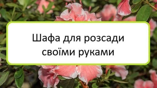 shafa-dlya-rozsady-svoyimy-rukamy shafa-dlya-rozsady-svoyimy-rukamy