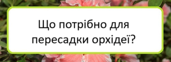 shcho-potribno-dlya-peresadky-orkhideyi