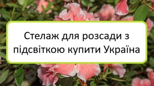 stelazh-dlya-rozsady-z-pidsvitkoyu-kupyty-ukrayina