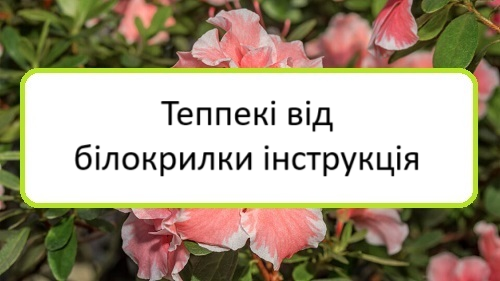 teppeki-vid-bilokrylky-instruktsiya teppeki-vid-bilokrylky-instruktsiya