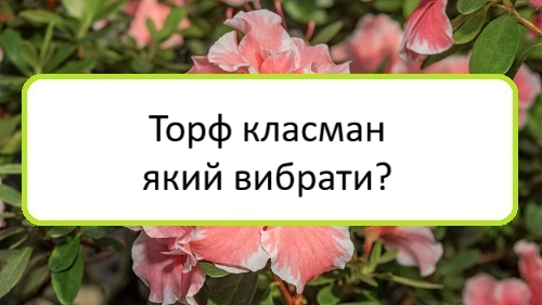 torf-klasman-yakyy-vybraty torf-klasman-yakyy-vybraty